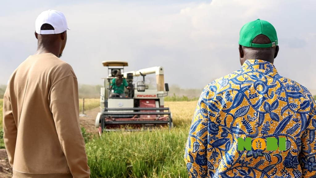 At Nobi Agriculture, scale and systems redefine farming in Ghana