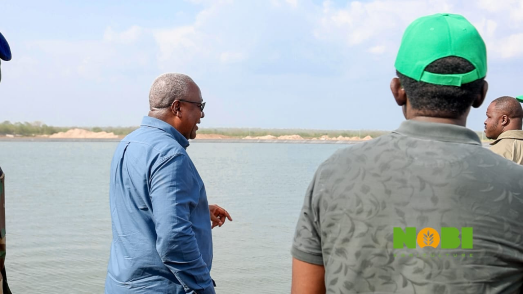 At Nobi Agriculture, scale and systems redefine farming in Ghana