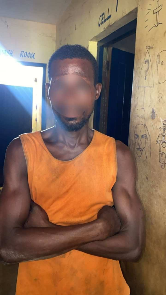 Suspect arrested over killing of elderly woman in Kadjebi