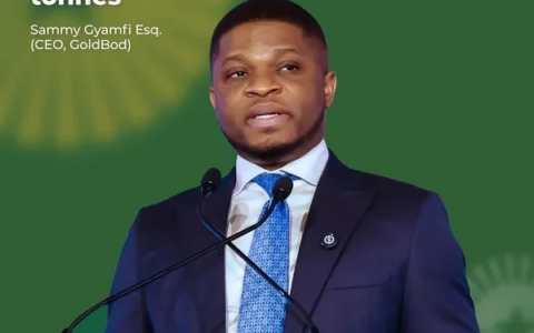 Buy wrong gold, face prosecution – Gold Board CEO cracks down on rogue dealers