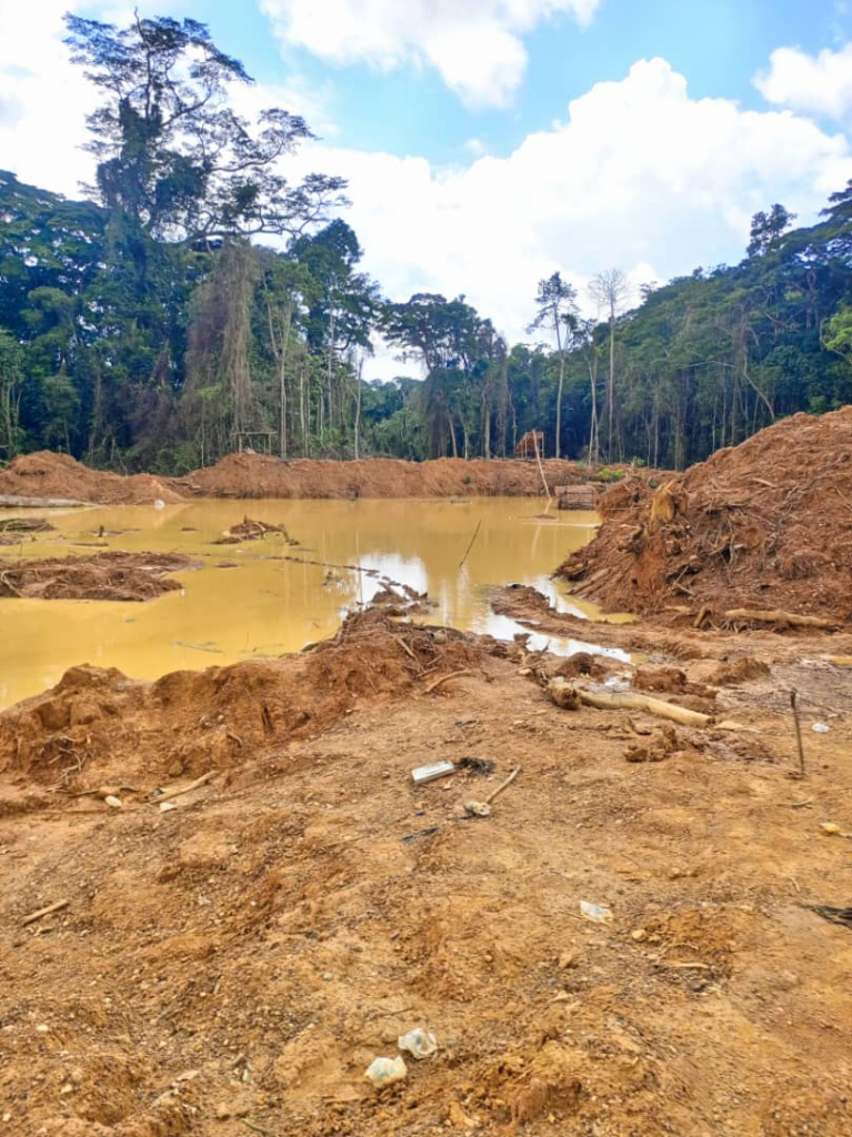 Forestry Commission foils armed attack at Subri River forest reserve Forestry Commission foils armed attack at Subri River forest reserve
