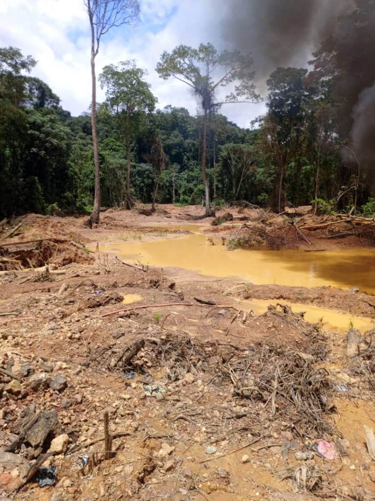 Forestry Commission foils armed attack at Subri River forest reserve Forestry Commission foils armed attack at Subri River forest reserve