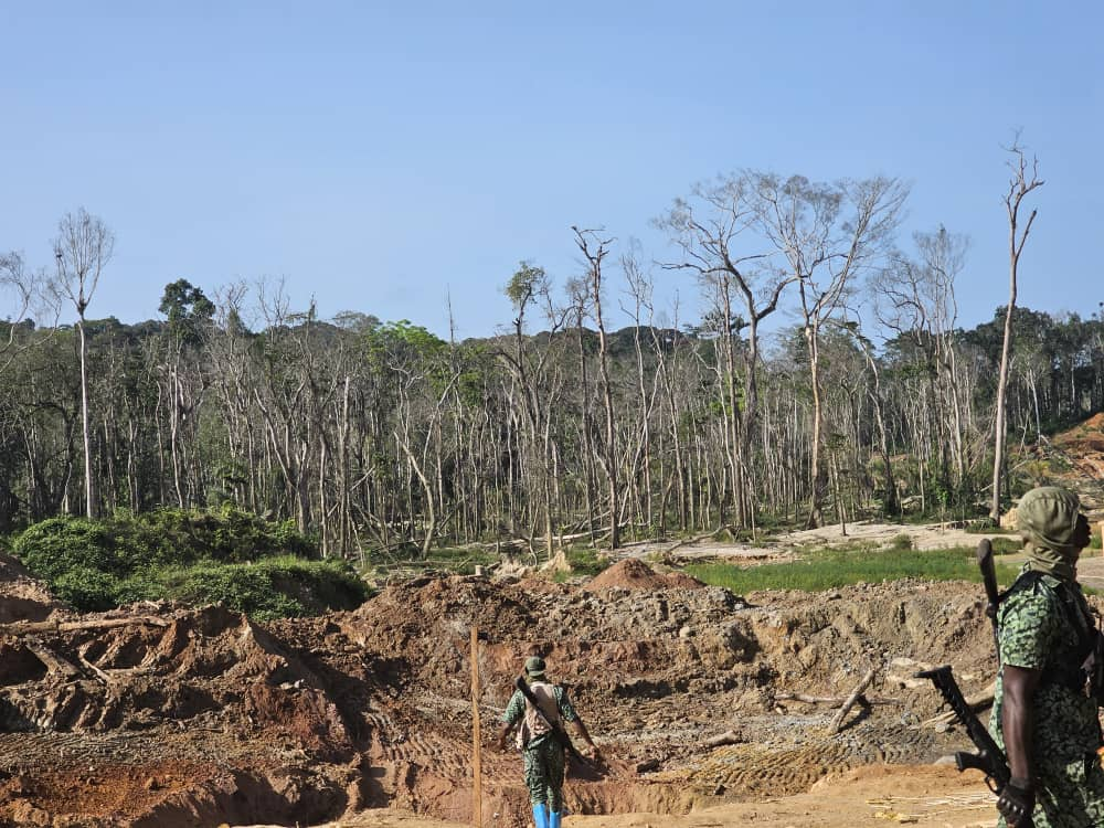 Forestry Commission foils armed attack at Subri River forest reserve Forestry Commission foils armed attack at Subri River forest reserve
