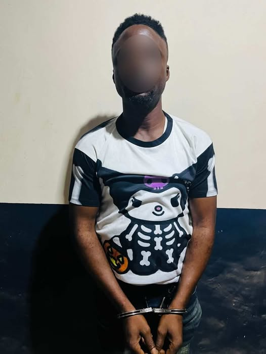 Police arrest man over viral threats against High Court judge