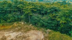 Adamus Resources refutes illegal mining claims; says due process not followed in licence revocation