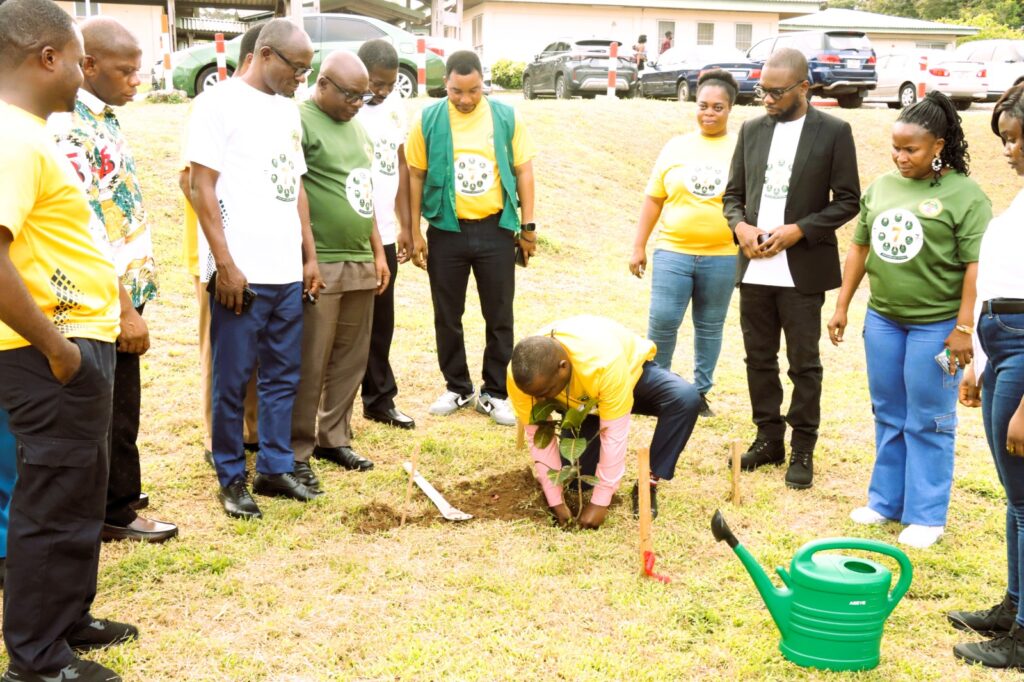 Ho Teaching Hospital Launches Environmental Beauty Project