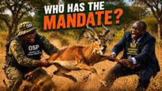 The Prosecutor who could not prosecute (A Ghanaian Folktale from the Republic of Uncommon Sense)