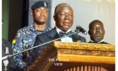 Support traditional leadership for peace and development – Otumfuo
