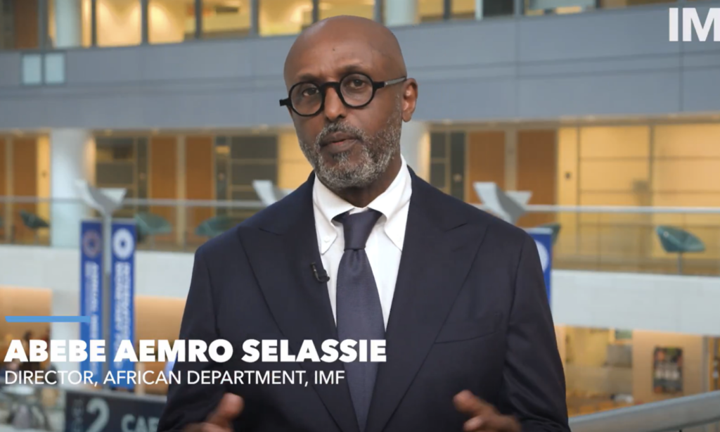 Ghana needs a plan for its own sustainable future - IMF