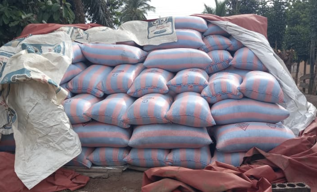 Afadzato South rice farmers appeal for urgent remedies to prevent post-harvest loss