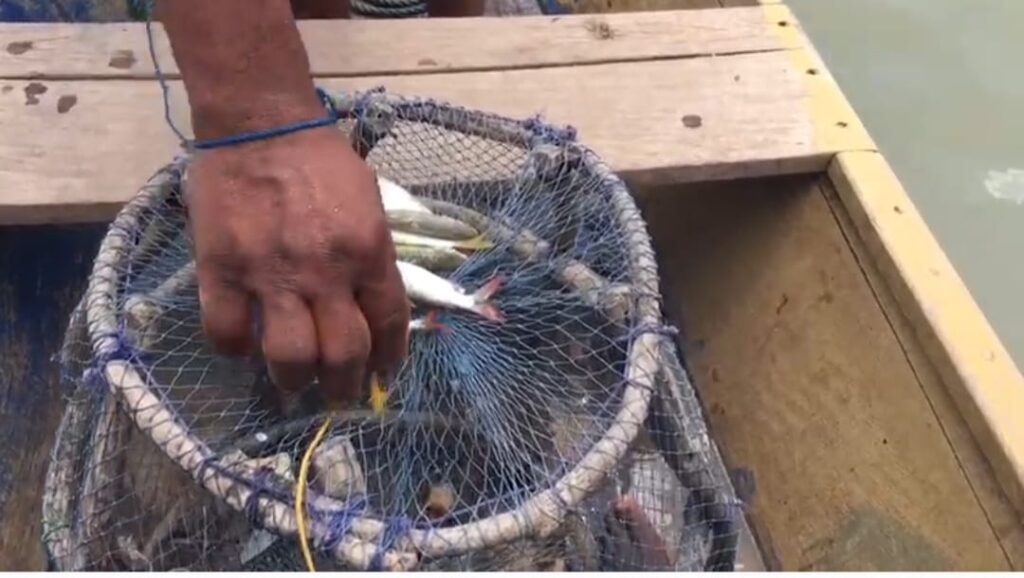 Climate change, pollution and overfishing push White Volta fishermen to the brink