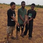Three UDS students remanded over alleged armed robbery