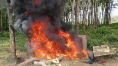 NAIMOS taskforce embarks on major anti-galamsey operations at GREL plantation and along Ankobra River