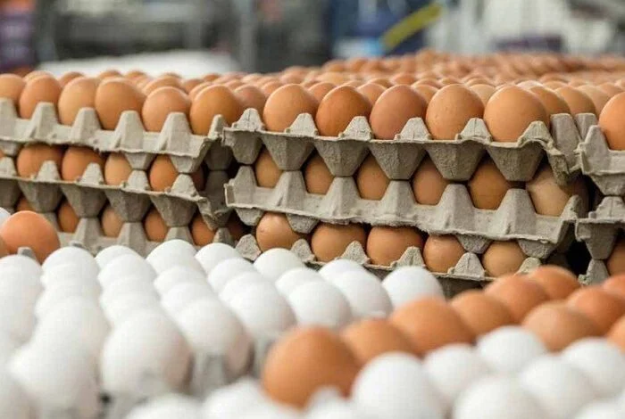 Egg surplus in Ghana as Burkina Faso stops imports