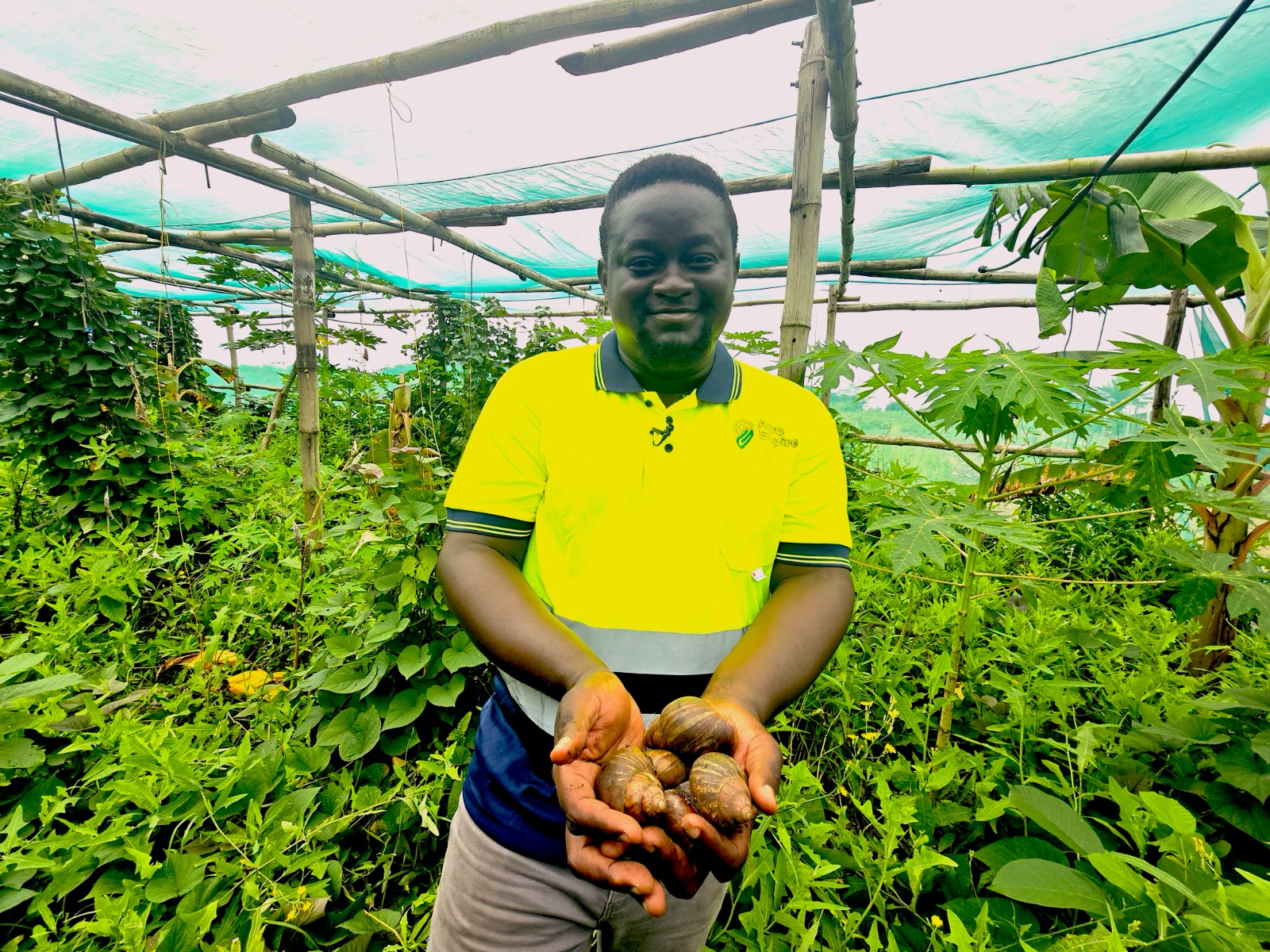 Networking crucial for fueling growth of agribusinesses – Agritech startup founder