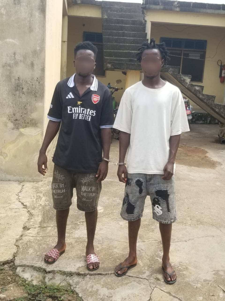 Ashanti North police seize large quantity of suspected narcotics in Offinso, four arrested
