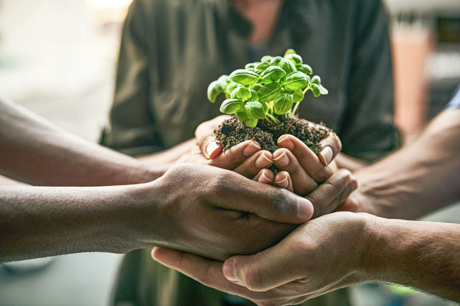 Africa’s food future hinges on leadership: The Infrastructure we can’t afford to ignore