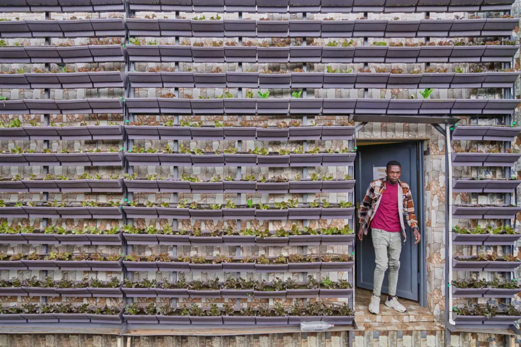 Rwanda's capital embraces urban farming as development squeezes rare land Rwanda's capital embraces urban farming as development squeezes rare land