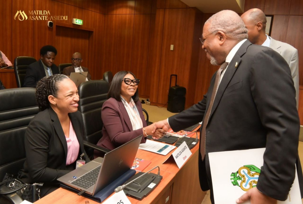 Africa must look inward: Reframing resilience in a shifting global econy