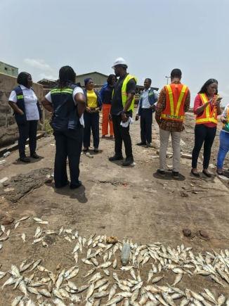 Authorities probe discovery of dead fish at Tema shipyard