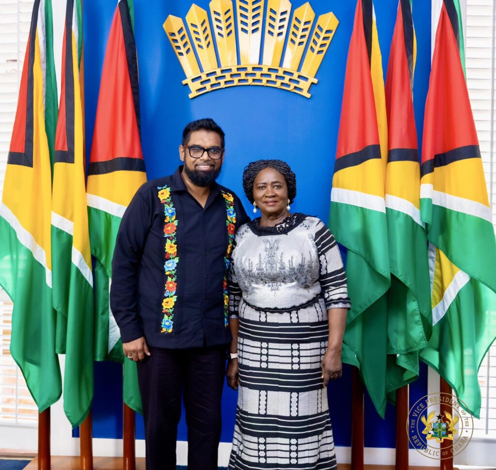 Vice President Jane Naana Opoku-Agyemang...
