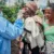 Ebola spread in DR Congo ‘deeply alarming’, MSF warns
