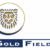 Gold Fields highlights US$5bn investment, says over 70% of Ghana revenues stay in-country