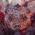 WHO monitors rare hantavirus outbreak aboard cruise ship; three dead 