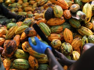 Farmers go unpaid as Ghana’s indebted state cocoa buyer faces asset seizure, source says