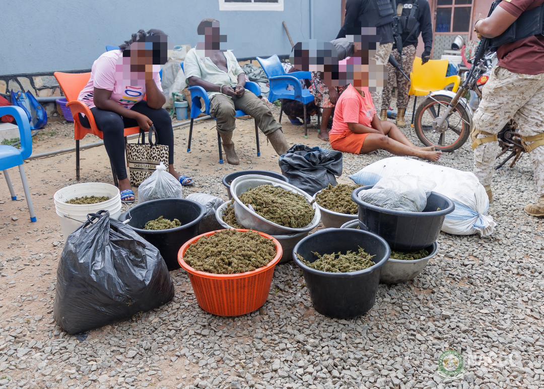 Narcotics Control Commission Cracks Down on Drug Trafficking in Greater Accra, Oti Region