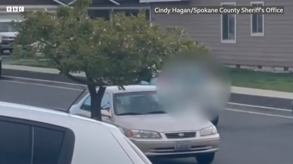 Driver arrested after chasing down child...