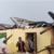 Rainstorm displaces 55 people in Assin South