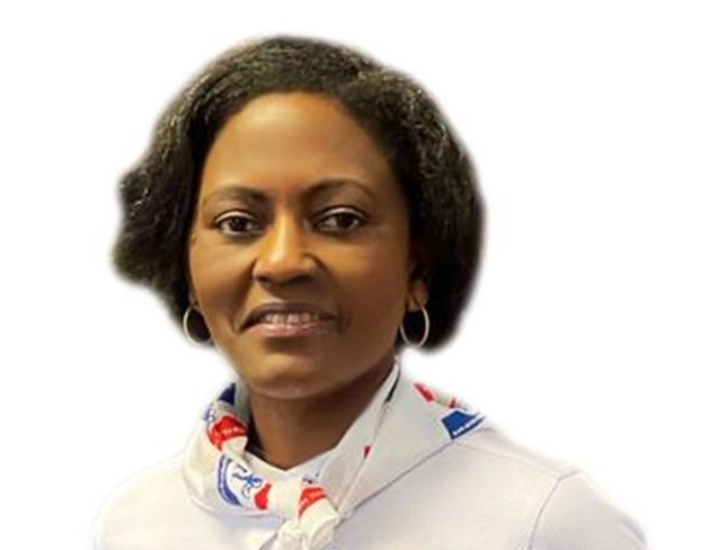 NPP-USA rejects new internal election...