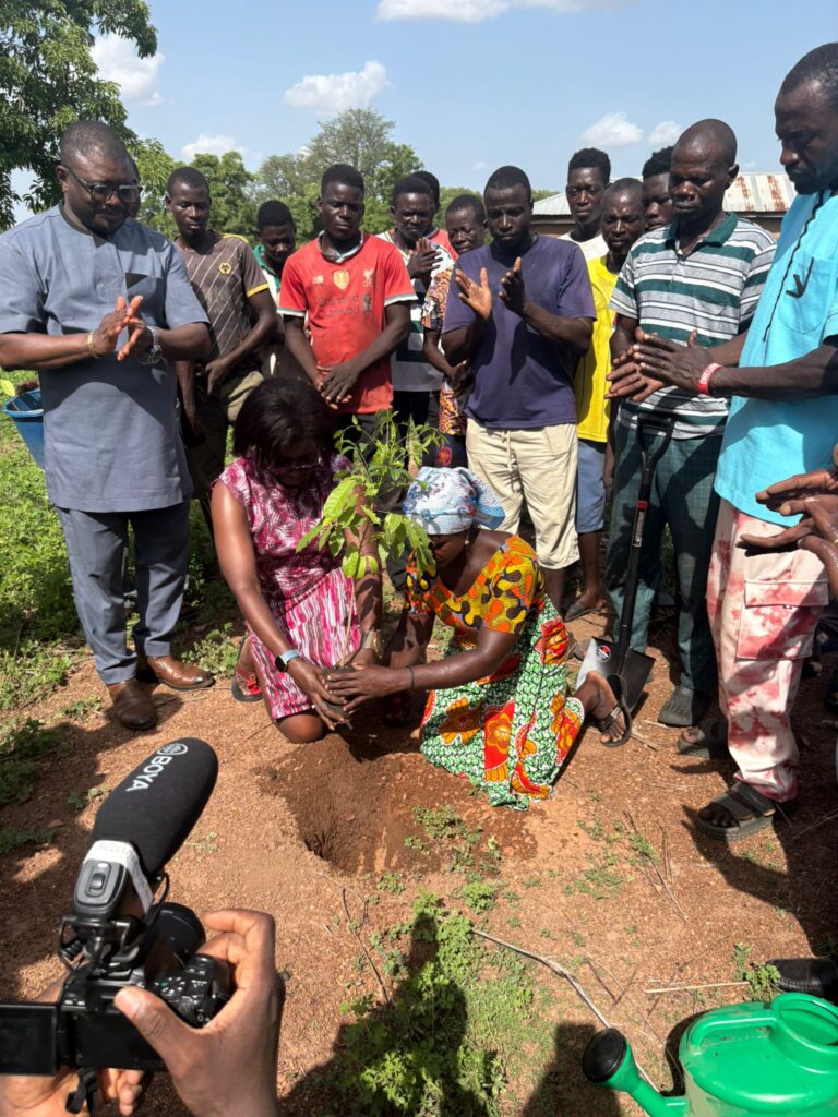 Ghana’s business community unites to plant ...