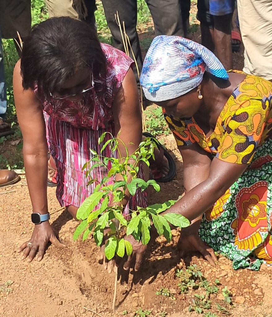 TreeAid Ghana in partnership with Nviron Hive launch land restoration and livelihood project