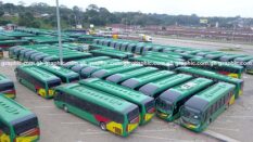 Transport Ministry prepares bus deployment roadmap 