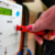 British Gas pays £20m over prepayment meter force-fitting scandal