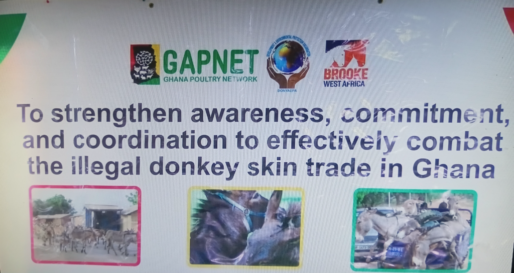 Donkeys face extinction – Advocates demand ...