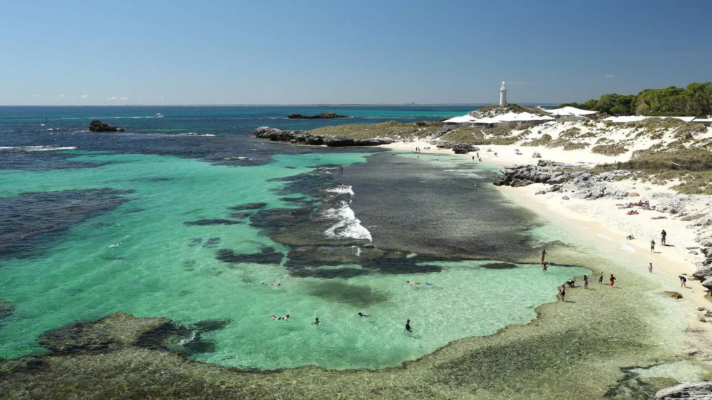 Tragedy: 13ft Shark Kills Man in Western Australia