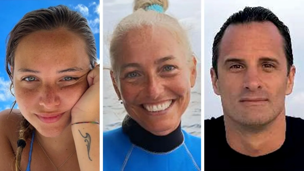 Bodies of missing Italian divers found in...