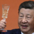 Xi Jinping basks in spotlight as he hosts Putin days after Trump