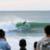 Surf photographer attacked in water by ‘shark or sea lion’