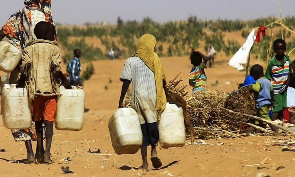 African-led climate action critical to global progress – African Climate Foundation
