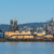 One killed and others missing after chemical explosion at US paper mill