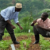 Africa’s youth are looking for jobs: The food system may hold the answer