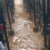 Flooding at Sekondi Central Prison raises fears of possible jailbreak