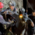 Four more men freed from flooded Laos cave after 10 days
