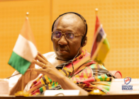 Afenyo-Markin urges ECOWAS action over killings, xenophobia and border barriers