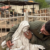 Israeli military investigates soldier’s act against Virgin Mary statue in Lebanon
