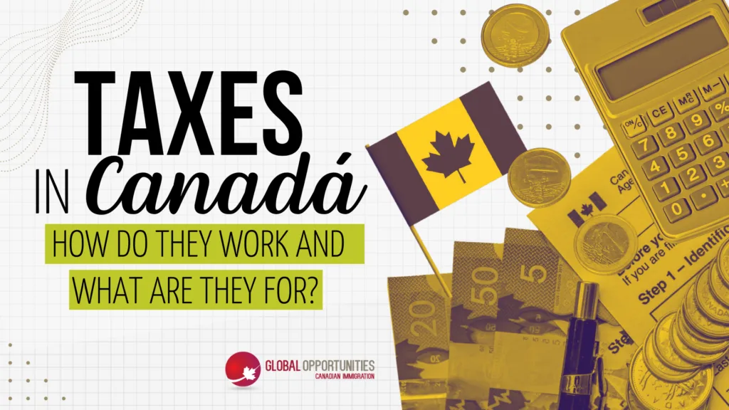 Canada's Tax Maze: Who's helping Canadians navigate one of the world's most complex tax systems?